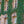 Load image into Gallery viewer, English Ivy