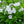 Load image into Gallery viewer, Fashionably Early Crystal Phlox