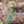 Load image into Gallery viewer, Fat Albert Colorado Blue Spruce - Spruce - Conifers