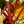 Load image into Gallery viewer, Fedor Rex Begonia