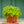 Load image into Gallery viewer, Assorted Ferns - Houseplant Ferns - Houseplants