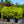 Load image into Gallery viewer, Flaming Silver Pieris