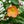 Load image into Gallery viewer, Flowering Maple