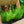 Load image into Gallery viewer, Foxtail Fern