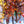Load image into Gallery viewer, Redpointe Red Maple