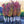 Load image into Gallery viewer, Redpointe Red Maple