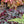Load image into Gallery viewer, Glitter Coral Bells