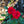 Load image into Gallery viewer, Grace N' Grit Red Rose