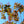 Load image into Gallery viewer, Grace Smoke Tree - Smokebush - Shrubs