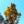 Load image into Gallery viewer, Green Mountain Sugar Maple