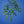 Load image into Gallery viewer, Green Vase Zelkova - Zelkova - Shade Trees
