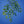 Load image into Gallery viewer, Green Vase Zelkova - Zelkova - Shade Trees