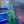 Load image into Gallery viewer, Hello Yellow Dianthus