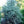 Load image into Gallery viewer, Horstmann Blue Atlas Cedar