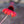 Load image into Gallery viewer, Hot Papaya Coneflower