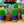 Load image into Gallery viewer, Hoya Heart - Hoyas - Houseplants