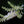 Load image into Gallery viewer, Hummingbird Summersweet - Summersweet - Shrubs