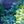 Load image into Gallery viewer, Ice Breaker Korean Fir