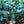 Load image into Gallery viewer, Ice Breaker Korean Fir - Fir - Conifers
