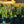Load image into Gallery viewer, Iris