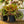 Load image into Gallery viewer, Iron Cross Begonia