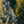 Load image into Gallery viewer, Iseli Fastigiate Colorado Spruce