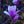 Load image into Gallery viewer, Jane Magnolia - Magnolia - Flowering Trees