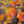 Load image into Gallery viewer, Japanese Stewartia