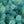 Load image into Gallery viewer, Jasper Engelmann Spruce