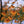 Load image into Gallery viewer, Jelena Witch Hazel - Witch Hazel - Shrubs