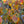 Load image into Gallery viewer, Jelena Witch Hazel