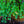 Load image into Gallery viewer, Katsura Tree