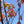 Load image into Gallery viewer, Kwanzan Flowering Cherry