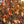 Load image into Gallery viewer, Kwanzan Flowering Cherry