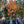 Load image into Gallery viewer, Kwanzan Flowering Cherry