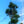 Load image into Gallery viewer, Lacebark Pine