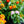 Load image into Gallery viewer, Lantana