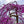 Load image into Gallery viewer, Lavender Twist Redbud - Redbud - Flowering Trees