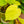 Load image into Gallery viewer, Lemon Lime Philodendron - Philodendron - Houseplants