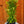 Load image into Gallery viewer, Little Lemon Goldenrod