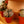Load image into Gallery viewer, Living Stones