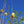 Load image into Gallery viewer, Lois Magnolia - Magnolia - Flowering Trees