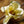 Load image into Gallery viewer, Lois Magnolia - Magnolia - Flowering Trees