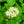 Load image into Gallery viewer, Low Scape Hedger Chokeberry - Chokeberry - Shrubs