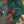 Load image into Gallery viewer, Magical Midnight Glow St. John's Wort