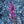 Load image into Gallery viewer, Morello Hyssop