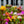 Load image into Gallery viewer, Moss Rose
