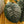 Load image into Gallery viewer, Dragonite Elephant Ear