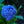 Load image into Gallery viewer, Nantucket Blue Bigleaf Hydrangea