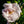 Load image into Gallery viewer, New Dawn Climbing Rose